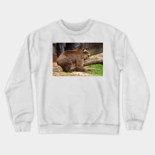 Teddy Bear At Rest 2 Crewneck Sweatshirt